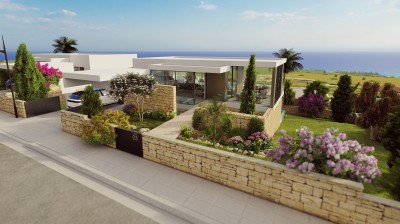 Luxury Homes Overlooking the Endless Blue 